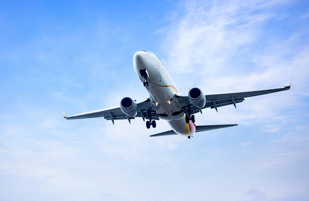 Amma Couriers Flight